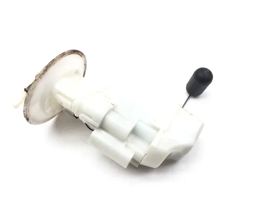 Gas Fuel Tank Pump 2019 Kawasaki Brute Force 750 KVF750 4x4i EPS 2768