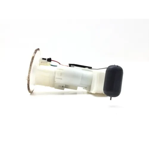 Gas Fuel Tank Pump 2019 Kawasaki Brute Force 750 KVF750 4x4i EPS 2768 11