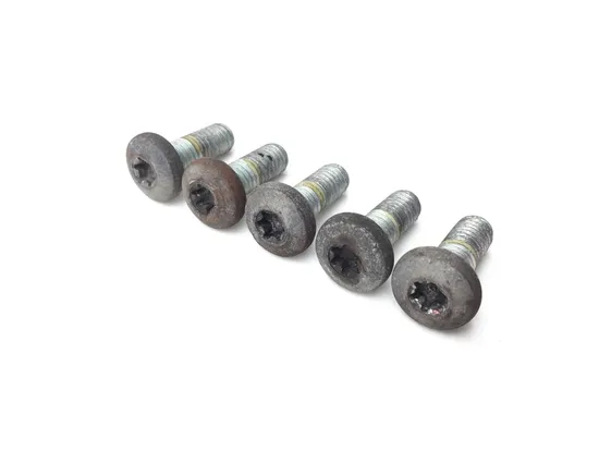 Rear Brake Rotor Disc Bolts 1999 Harley-Davidson Electra Glide Classic FLHTC