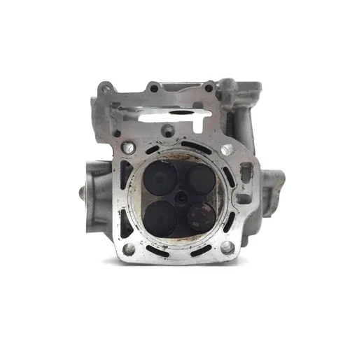 Engine Cylinder Head Complete W Cams REAR Kawasaki Brute Force 650 2767 x 9