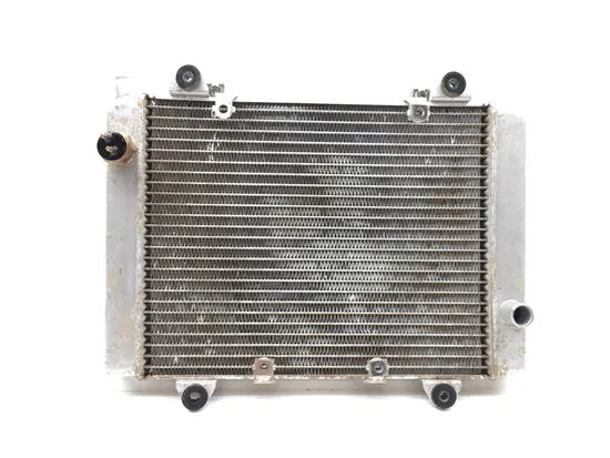 Engine Radiator Cooling 2007 Kawasaki 2767
