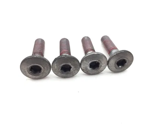 Rear Brake Rotor Disc Bolts 2008 Kawasaki Ninja ZX14 ZX1400C 2798