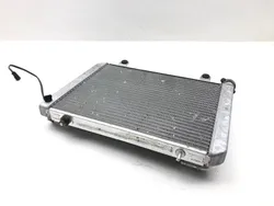 Engine Radiator Cooling 2004 Polaris Ranger 500 4X4