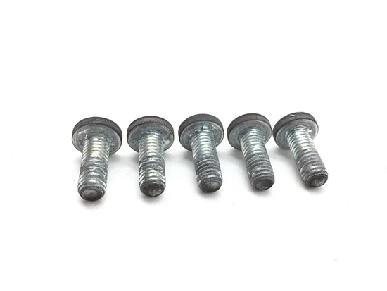 Rear Brake Rotor Disc Bolts 2004 Harley-Davidson Electra Glide FLHT 2799A 2