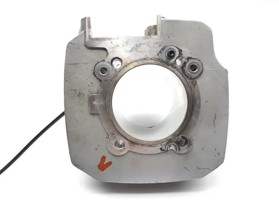 Engine Cylinder Jug W Piston Vertical 2015 Ducati Scrambler Urban Enduro 2814A x