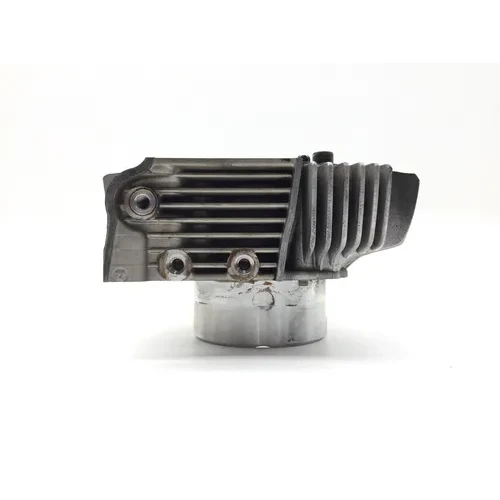Engine Cylinder Jug W Piston Horizontal 2015 Ducati Scrambler Urban Enduro 2814A 9