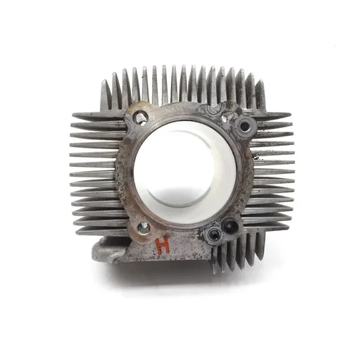 Engine Cylinder Jug W Piston Horizontal 2015 Ducati Scrambler Urban Enduro 2814A 17