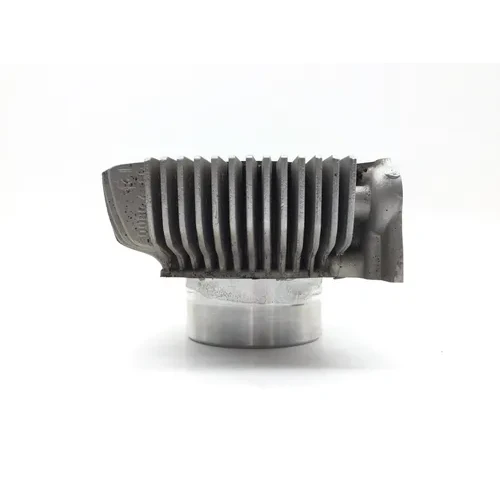 Engine Cylinder Jug W Piston Horizontal 2015 Ducati Scrambler Urban Enduro 2814A 15