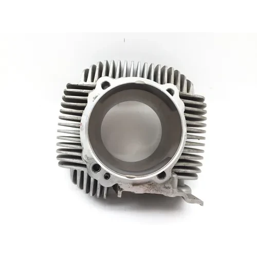 Engine Cylinder Jug W Piston Horizontal 2015 Ducati Scrambler Urban Enduro 2814A 20