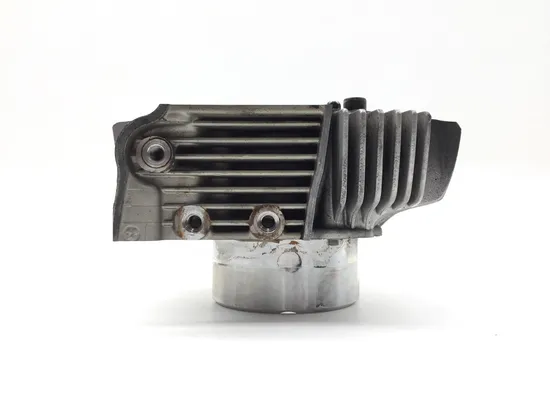 Engine Cylinder Jug W Piston Horizontal 2015 Ducati Scrambler Urban Enduro 2814A