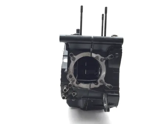 Engine Left Right Center Cases 2015 Ducati Scrambler Urban Enduro 2814A x