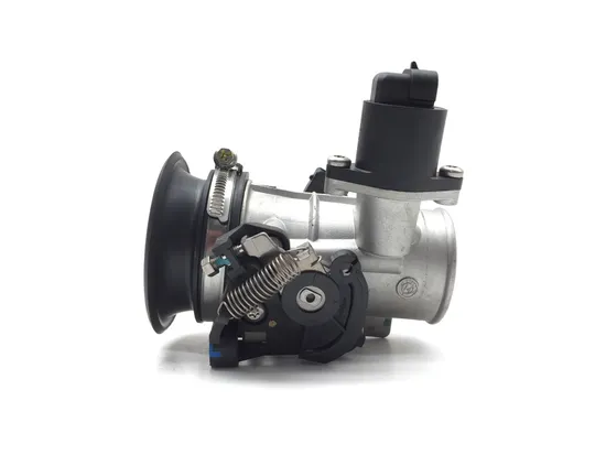 Throttle Body 2015 Ducati Scrambler Urban Enduro 2814A