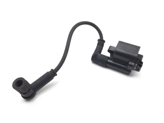 Ignition Coil Set 2015 Ducati Scrambler Urban Enduro 2814A