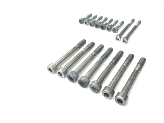 Engine Left Right Center Case Bolts 2015 Ducati Scrambler Urban Enduro 2814A