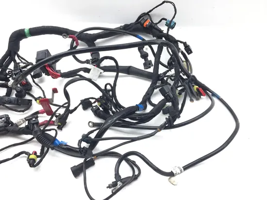 Main Engine Wiring Harness 2015 Ducati Scrambler Urban Enduro 2814A 4