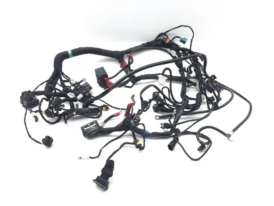 Main Engine Wiring Harness 2015 Ducati Scrambler Urban Enduro 2814A