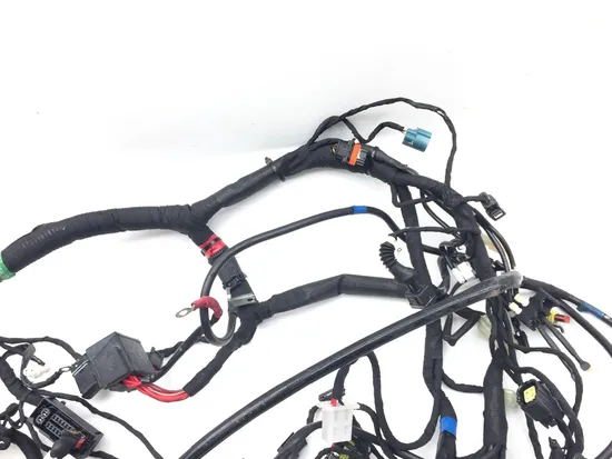 Main Engine Wiring Harness 2015 Ducati Scrambler Urban Enduro 2814A 5