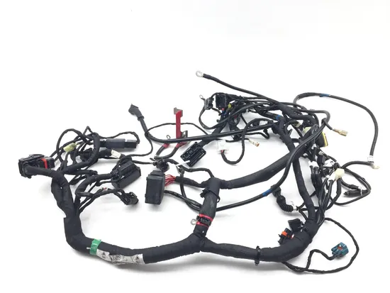 Main Engine Wiring Harness 2015 Ducati Scrambler Urban Enduro 2814A 6