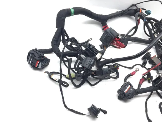 Main Engine Wiring Harness 2015 Ducati Scrambler Urban Enduro 2814A 2