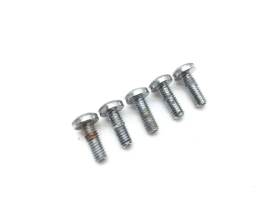 Front Brake Rotor Bolts 2007 Harley-Davidson Dyna Wide Glide EFI FXDWGI 2818A