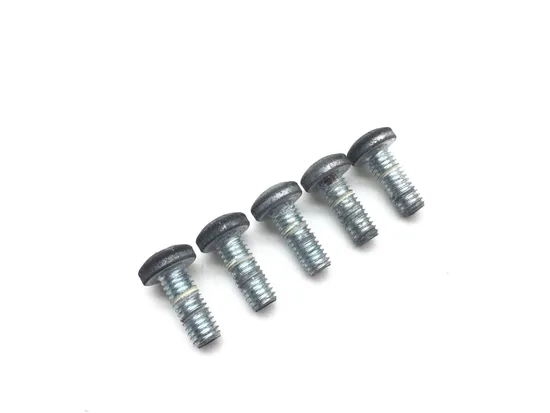 Rear Brake Rotor Disc Bolts 2007 Harley-Davidson Dyna Wide Glide FXDWGI 2818A