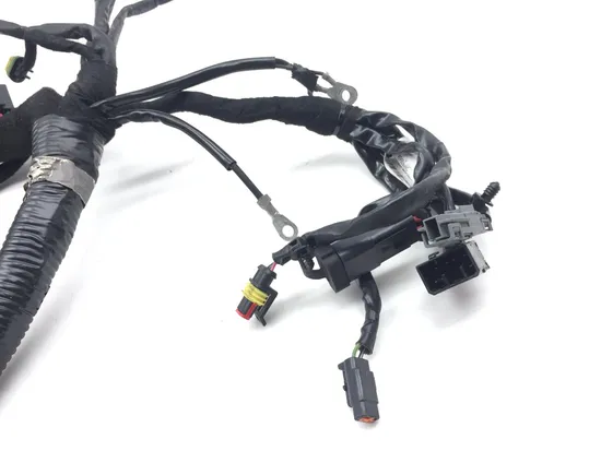 Main Engine Wiring Harness 2007 Harley-Davidson Dyna Wide Glide EFI FXDWGI 2818A