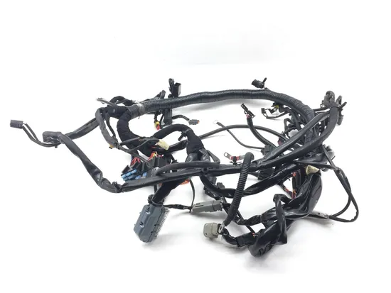 Main Engine Wiring Harness 2007 Harley-Davidson Dyna Wide Glide EFI FXDWGI 2818A