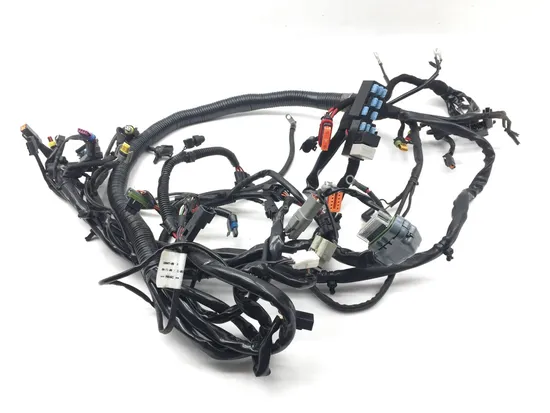 Main Engine Wiring Harness 2007 Harley-Davidson Dyna Wide Glide EFI FXDWGI 2818A