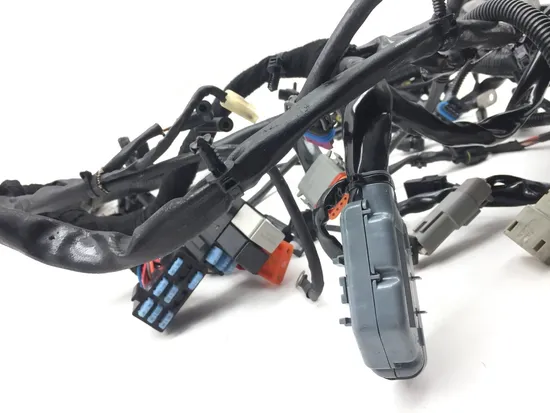 Main Engine Wiring Harness 2007 Harley-Davidson Dyna Wide Glide EFI FXDWGI 2818A