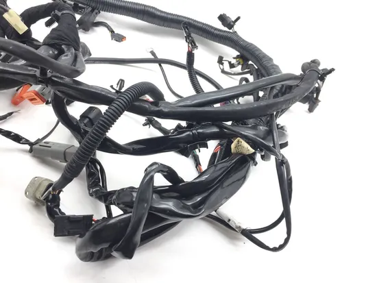 Main Engine Wiring Harness 2007 Harley-Davidson Dyna Wide Glide EFI FXDWGI 2818A