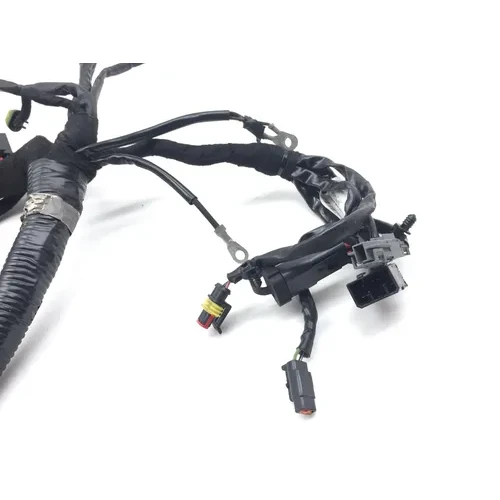 Main Engine Wiring Harness 2007 Harley-Davidson Dyna Wide Glide EFI FXDWGI 2818A 9