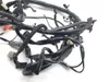 Main Engine Wiring Harness 2007 Harley-Davidson Dyna Wide Glide EFI FXDWGI 2818A