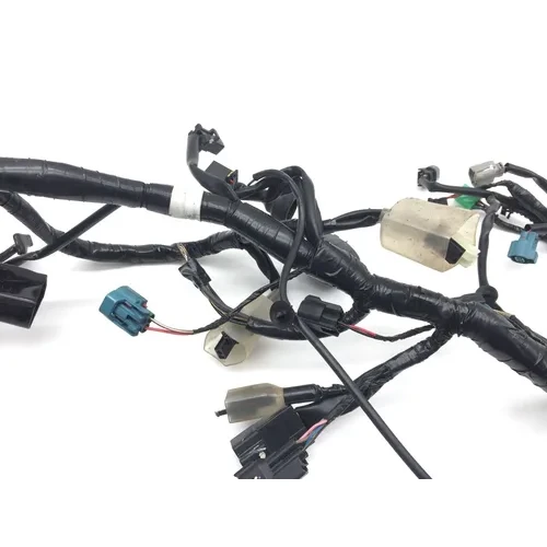 Main Engine Wiring Harness from 2017 Kawasaki Ninja 300 EX300 2851A 16