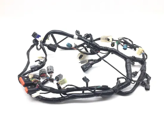 Main Engine Wiring Harness from 2017 Kawasaki Ninja 300 EX300 2851A