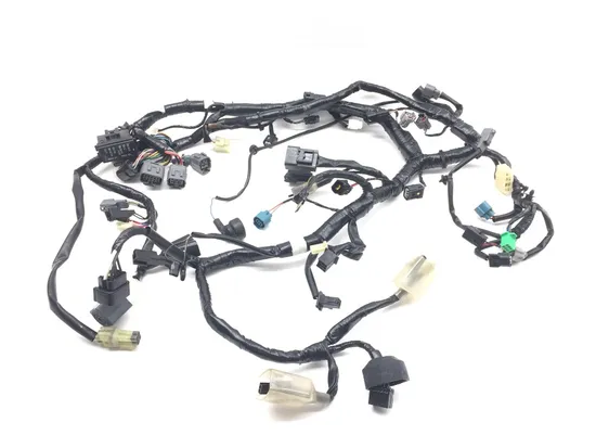 Main Engine Wiring Harness from 2017 Kawasaki Ninja 300 EX300 2851A