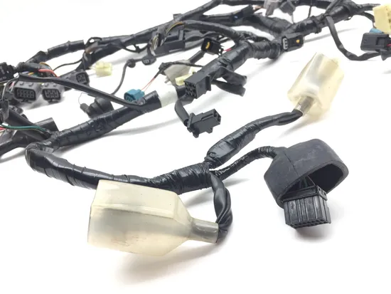 Main Engine Wiring Harness from 2017 Kawasaki Ninja 300 EX300 2851A