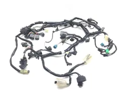 Main Engine Wiring Harness from 2017 Kawasaki Ninja 300 EX300 2851A
