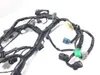 Main Engine Wiring Harness from 2017 Kawasaki Ninja 300 EX300 2851A