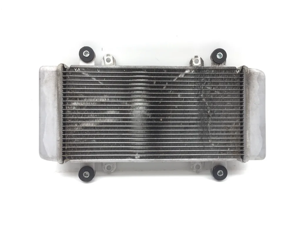 Engine Radiator Cooling from 2017 Kawasaki Ninja 300 EX300 2851A