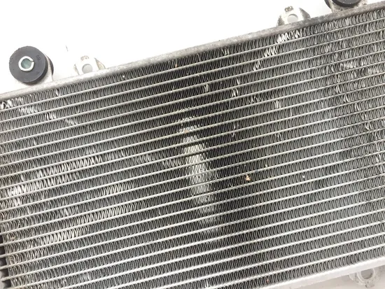 Engine Radiator Cooling from 2017 Kawasaki Ninja 300 EX300 2851A