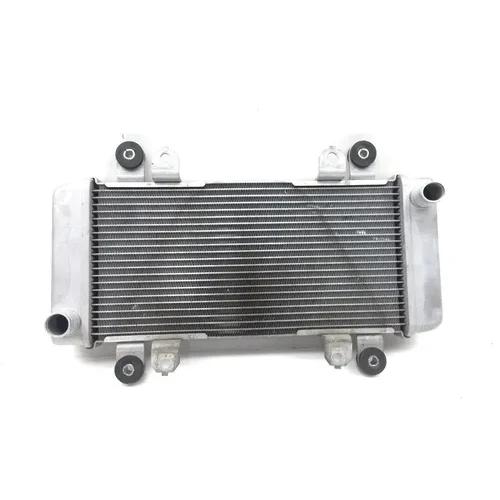 Engine Radiator Cooling from 2017 Kawasaki Ninja 300 EX300 2851A 14