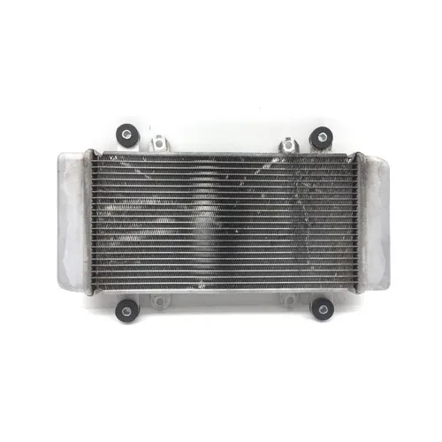 Engine Radiator Cooling from 2017 Kawasaki Ninja 300 EX300 2851A 3