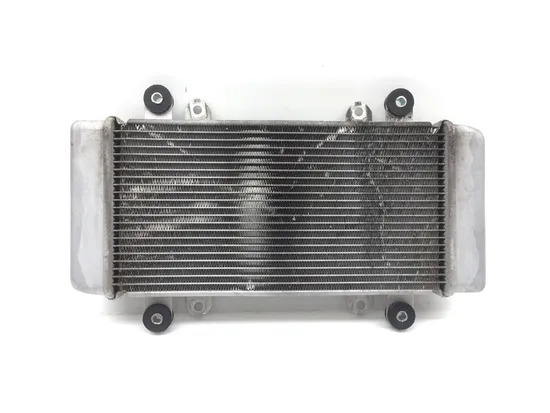 Engine Radiator Cooling from 2017 Kawasaki Ninja 300 EX300 2851A