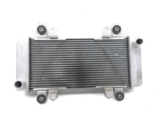 Engine Radiator Cooling from 2017 Kawasaki Ninja 300 EX300 2851A