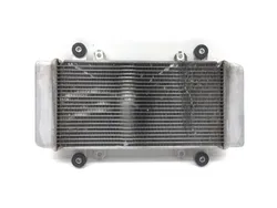 Engine Radiator Cooling from 2017 Kawasaki Ninja 300 EX300 2851A