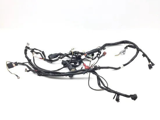 Main Engine Wiring Harness 2007 Yamaha YFZ450 2829A