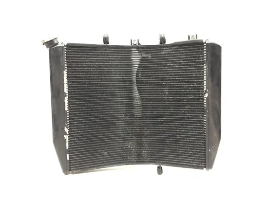 Radiator Cooling Front Fluid with Fan 2006 Kawasaki Ninja ZX14 ZX1400A 2825A