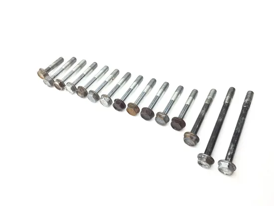 Engine Center Cases Case Bolts 1998 Honda Foreman 400 TRX400FW 4x4 2831A