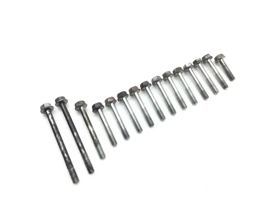 Engine Center Cases Case Bolts 1998 Honda Foreman 400 TRX400FW 4x4 2831A