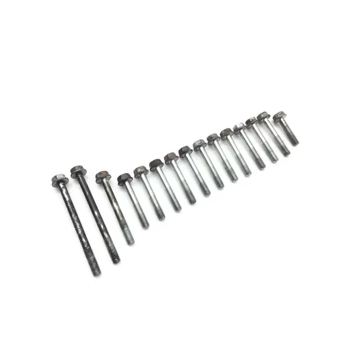Engine Center Cases Case Bolts 1998 Honda Foreman 400 TRX400FW 4x4 2831A 3